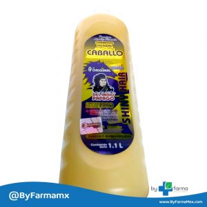 Shampoo Cola De Caballo