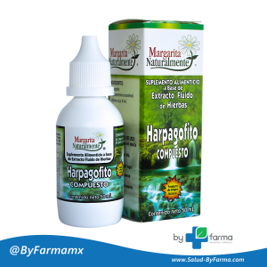 Extracto de Harpagofito