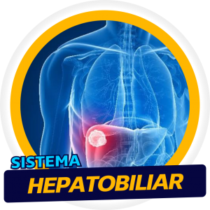 Sistema Hepatobiliar
