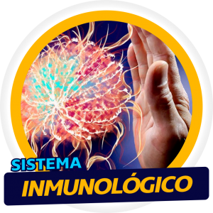 Sistema Inmunologico