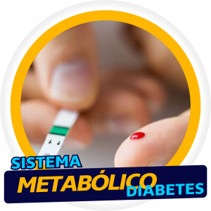 Sistema Metabólico-Diabetes