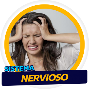 Sistema Nervioso