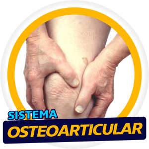 Sistema Osteoarticular