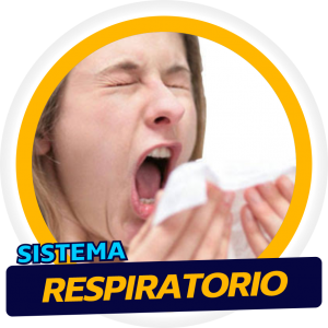 Sistema Respiratorio