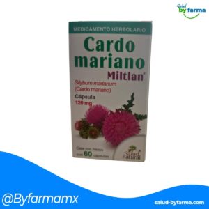 Cardo Mariano (Miltlan)