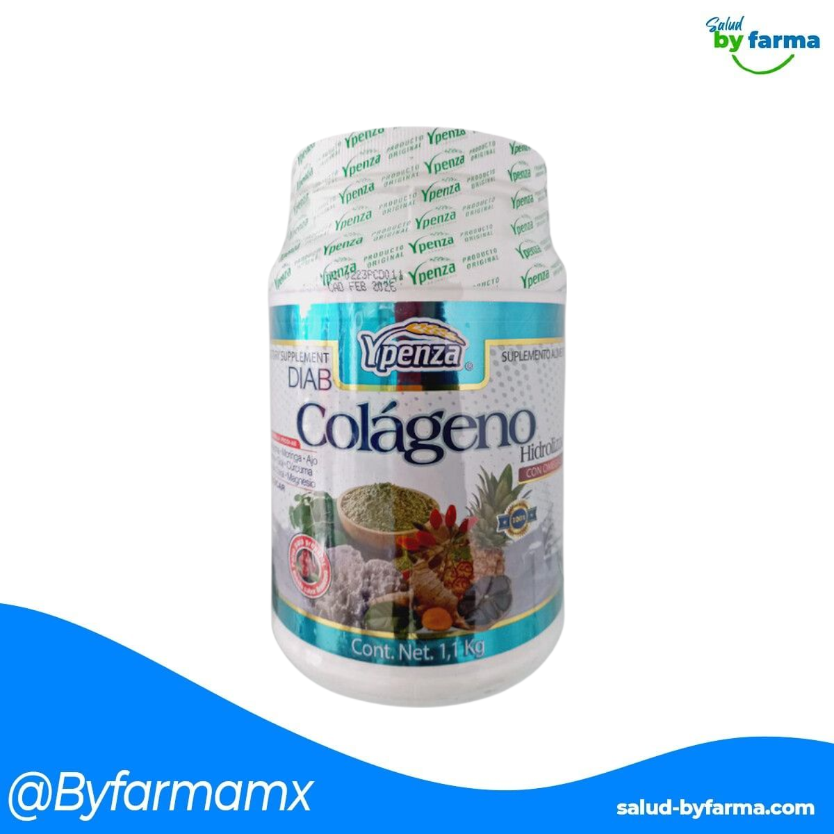 POLVO COLAGENO DIAB HIDROLIZADO BEBIDA 1.100 KG